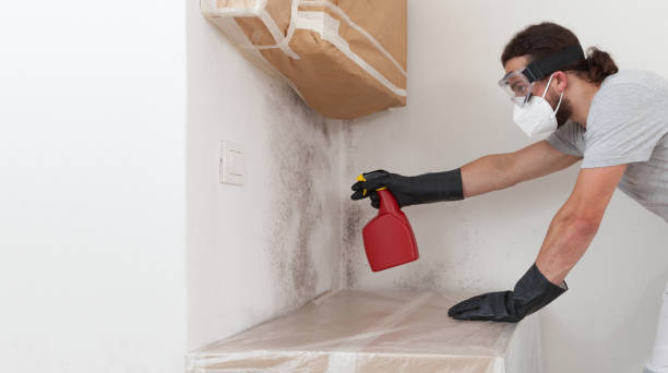 Professional Hvac And Air Duct Mold Remediation technician working in Plano, IL